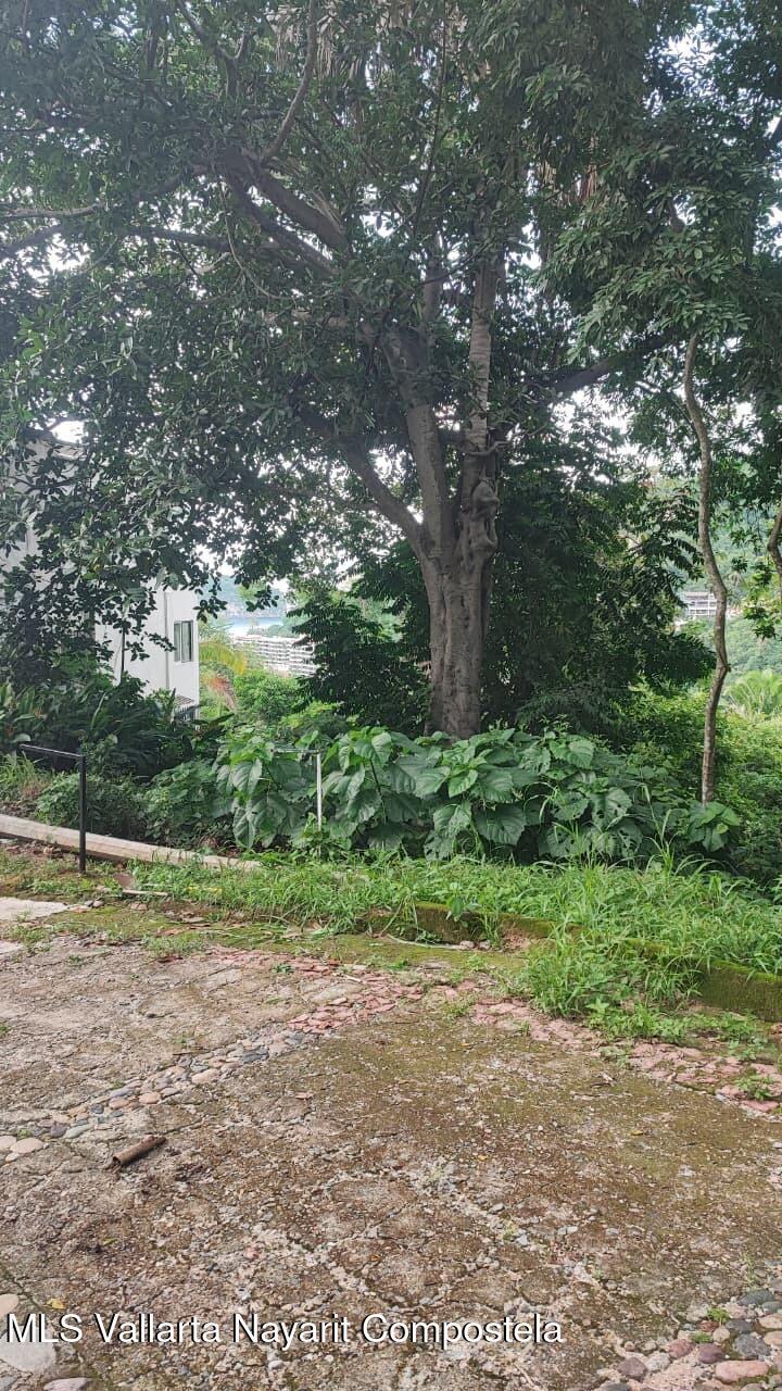 20250818051643748090000000 o