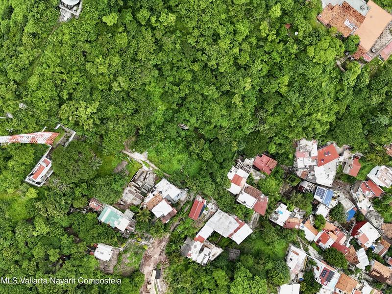 20251003195933555036000000 o