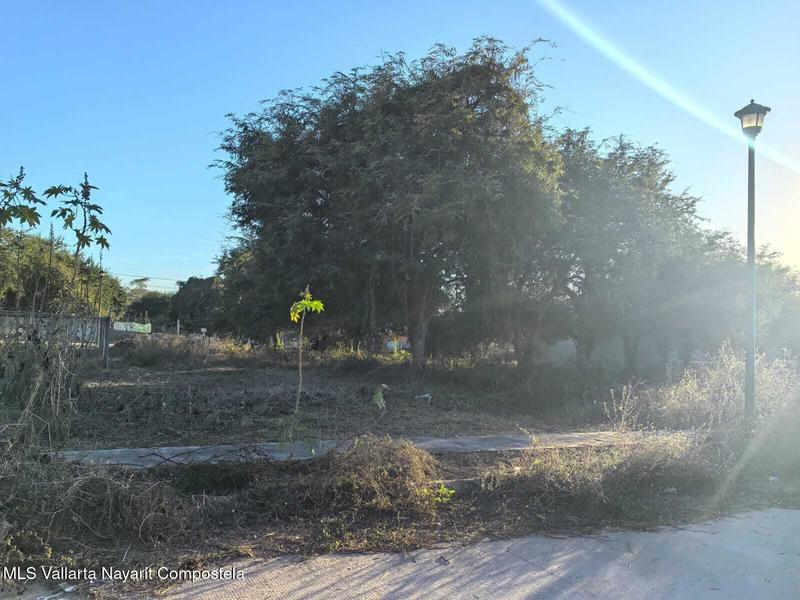 5 Calle Nardo, Terreno En Bucerias, Riviera Nayarit, Na