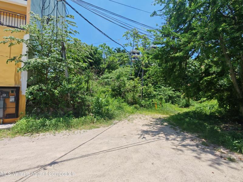 20250806211658136720000000 o