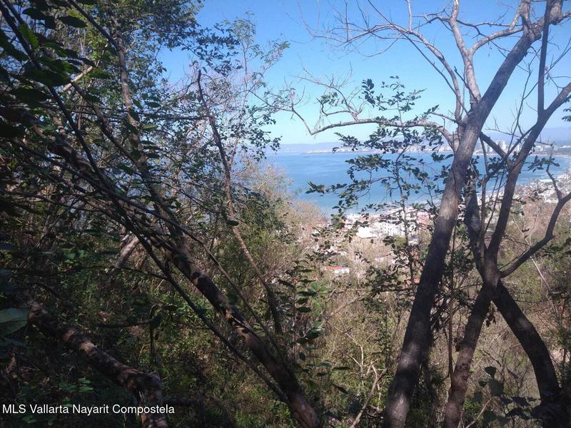 20250728183944857605000000 o