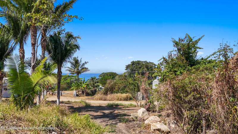 20260211210143524169000000 o