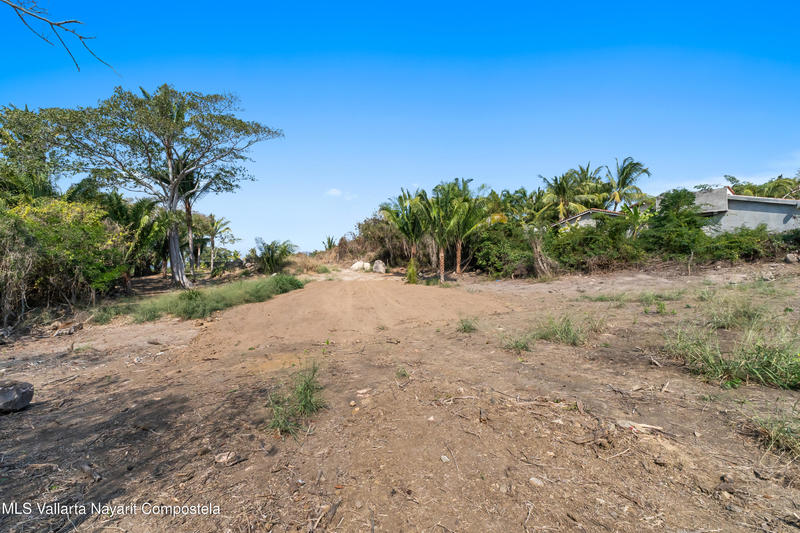 20260211210548181691000000 o