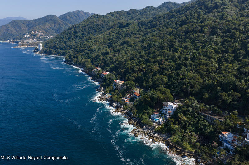 20260203173006441001000000 o