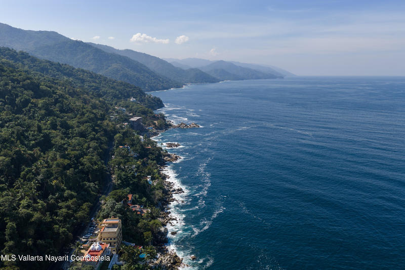 20260203173024923491000000 o