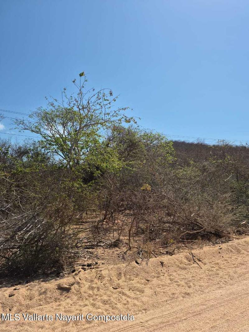 20250802224128368738000000 o