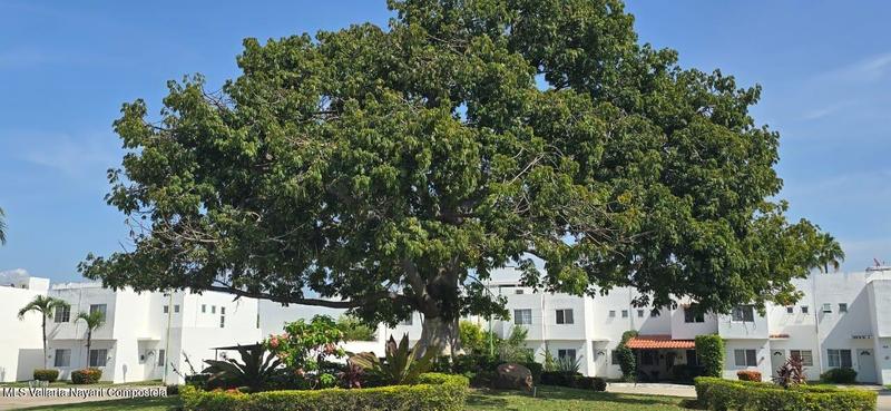 20251020194437486657000000 o