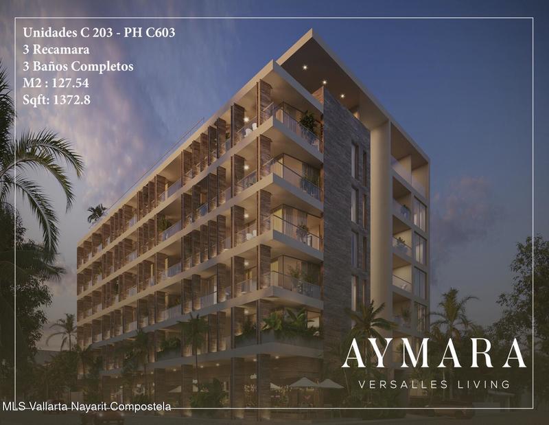 Aymara C203