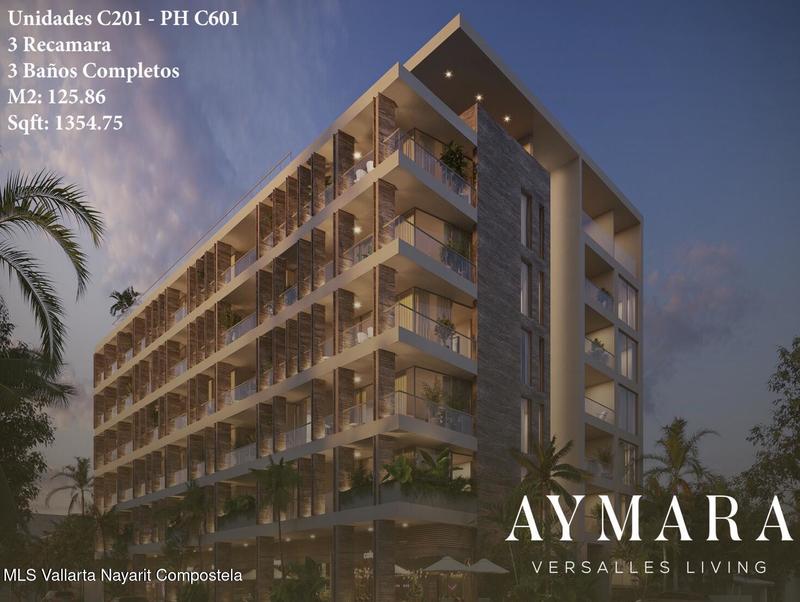 Aymara C401
