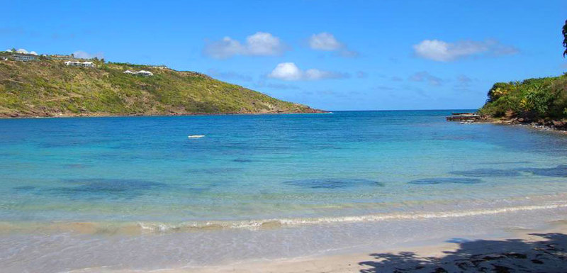 Buddha bay 14