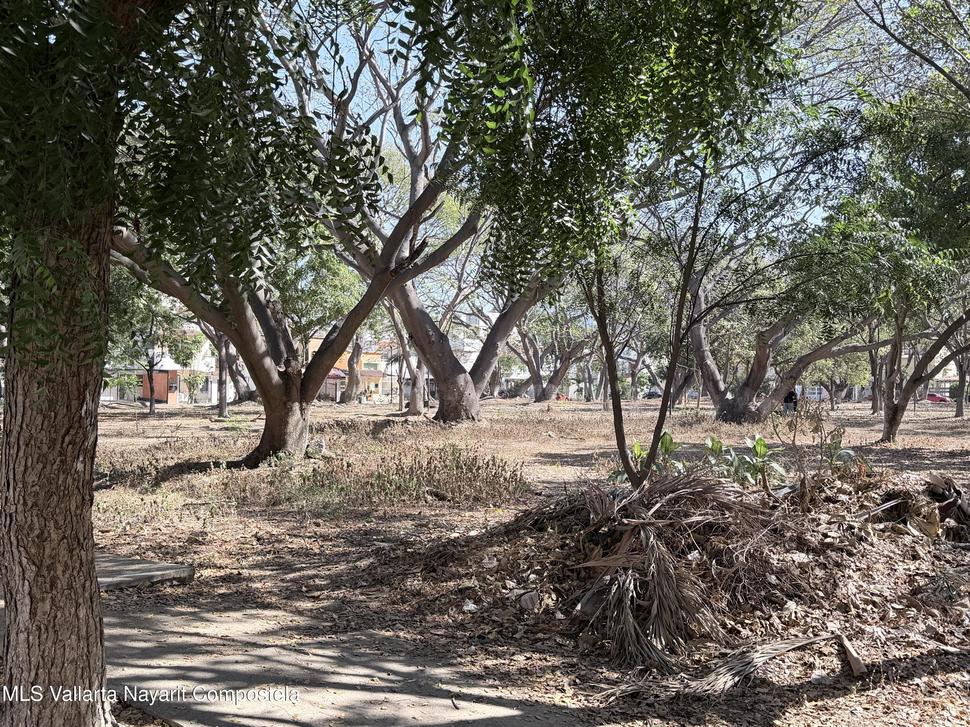 20260212001052634649000000 o