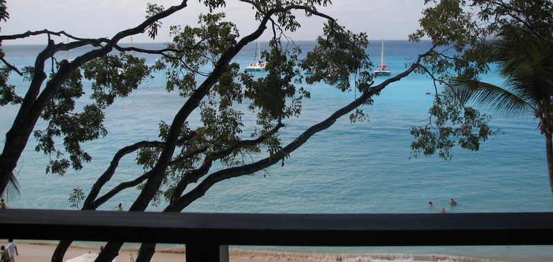 Coral cove11 10