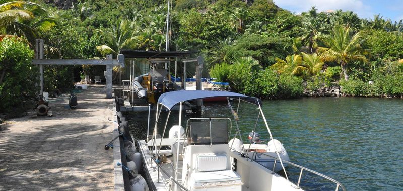 Dauphin 33