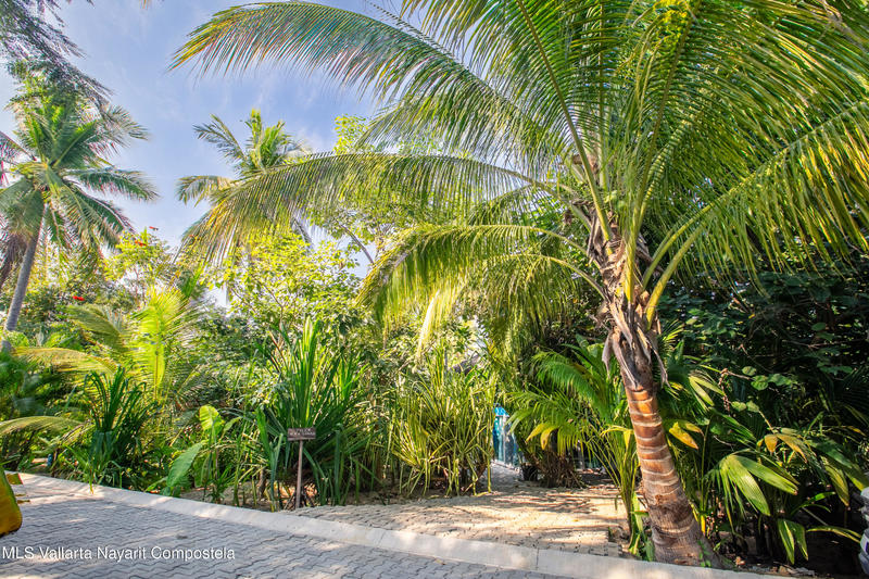 20260112213455717908000000 o