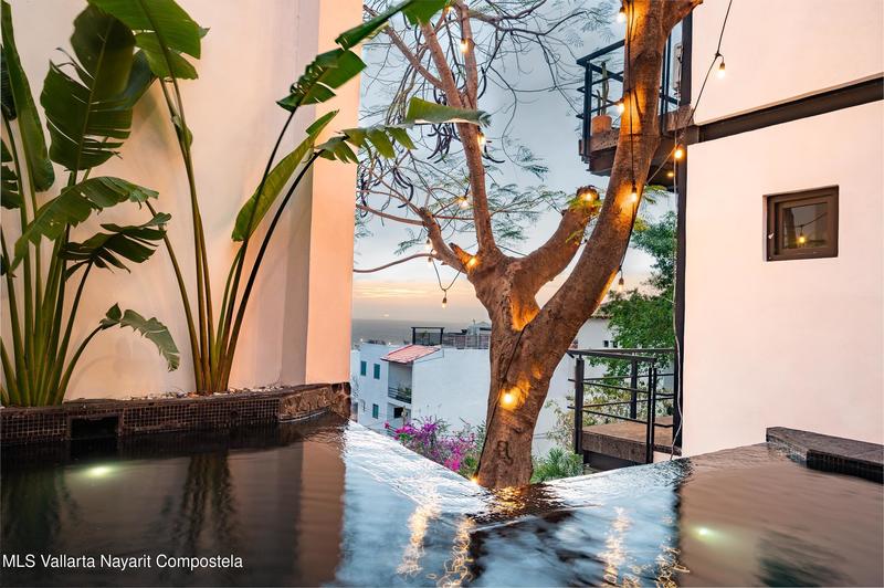 20260204205647784117000000 o