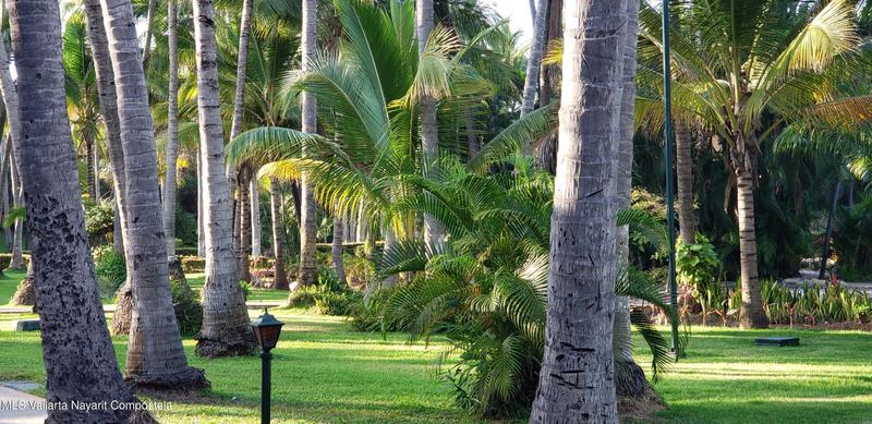 20251016005034533096000000 o