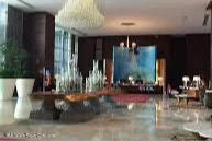 20251112221221254771000000 o