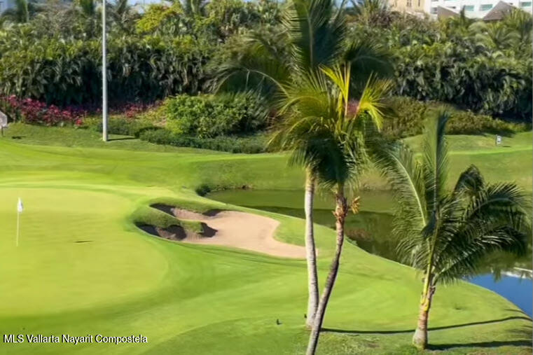 20251112221232719479000000 o