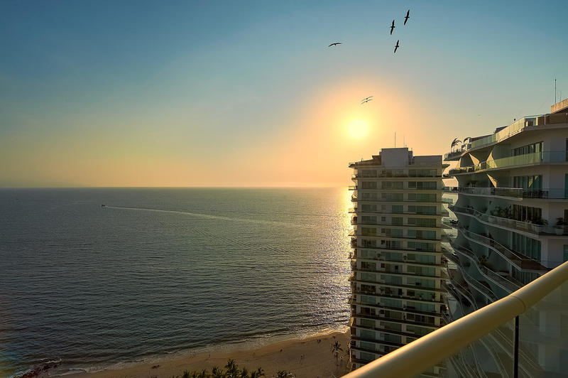 Iconvallarta T1-2704