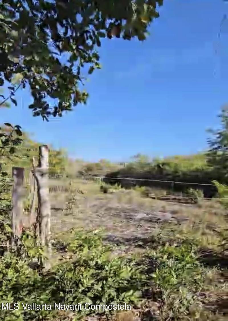 20251007180902240233000000 o