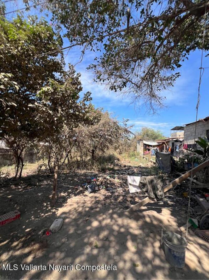 20260209203853323492000000 o