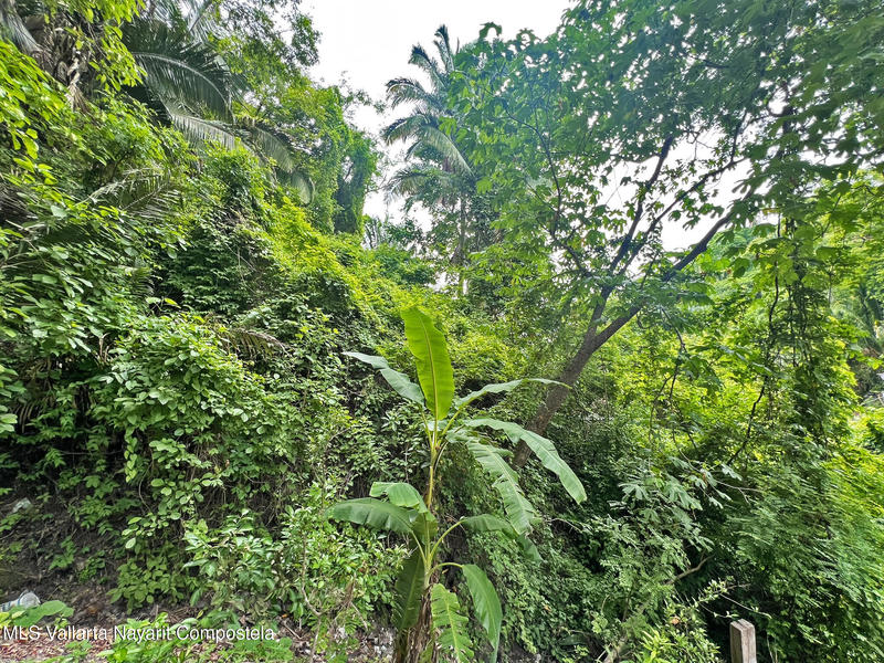 20250729045148150455000000 o