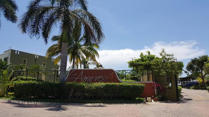 Los Amores Ii 80 80