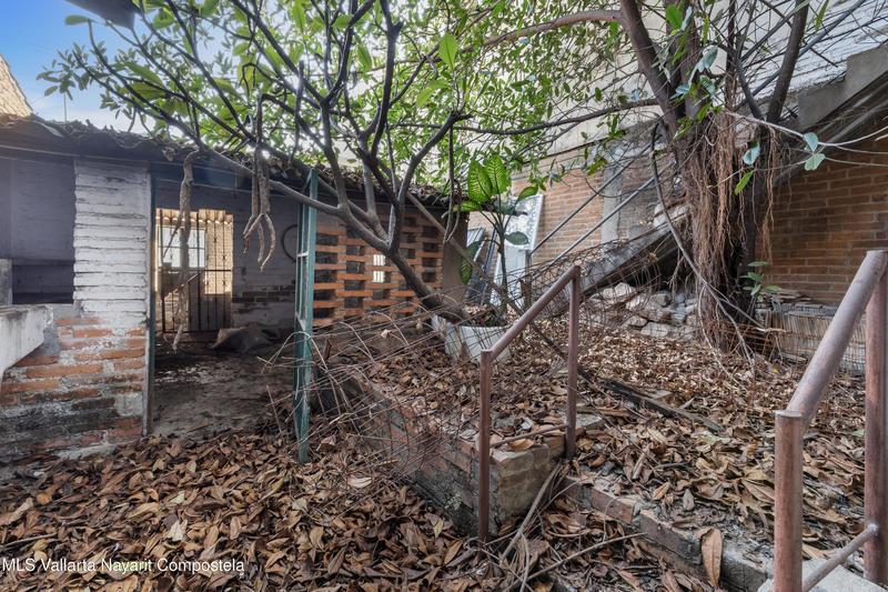 20260202192601004456000000 o