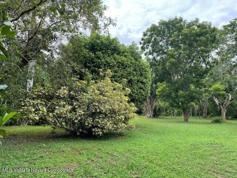 20260126181444422669000000 o