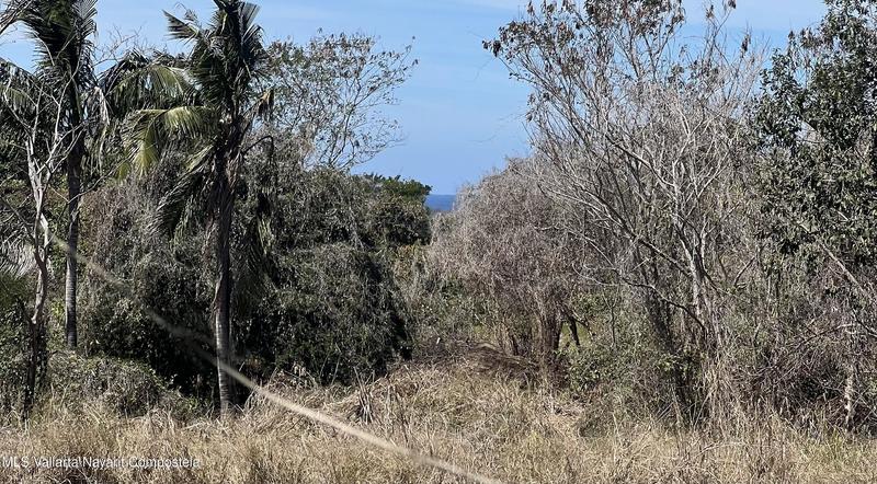 Manzana 07 Patzcuaro Mz 07 Lt 01, Lote Sayulita, Riviera Nayarit, Na