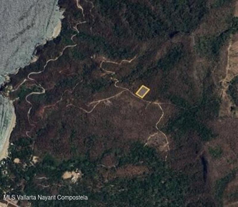 20260128154329634865000000 o