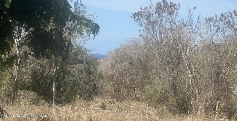 20260128154343801800000000 o