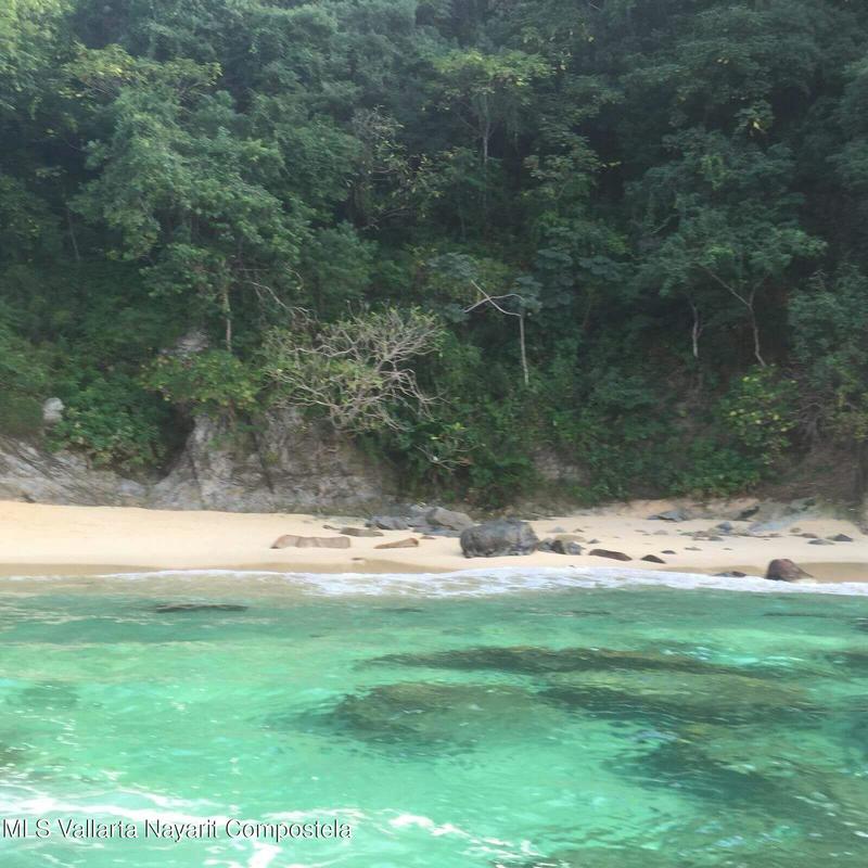 20251027230602836729000000 o