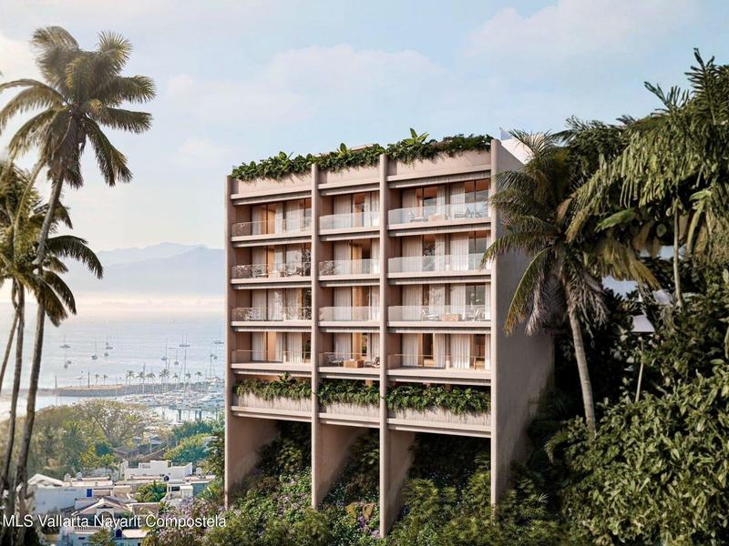 Montemar 504