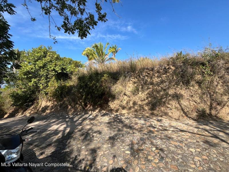 20260102190550569921000000 o