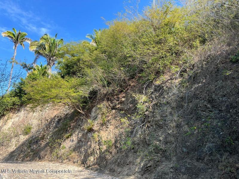 20260102191231208080000000 o