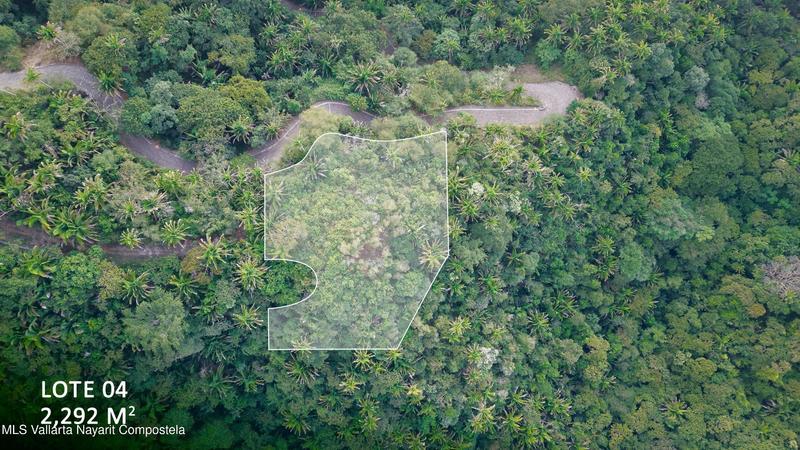 20251231175641020501000000 o