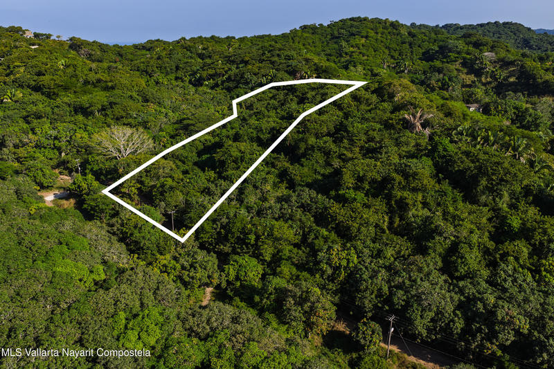 20251219171651047728000000 o