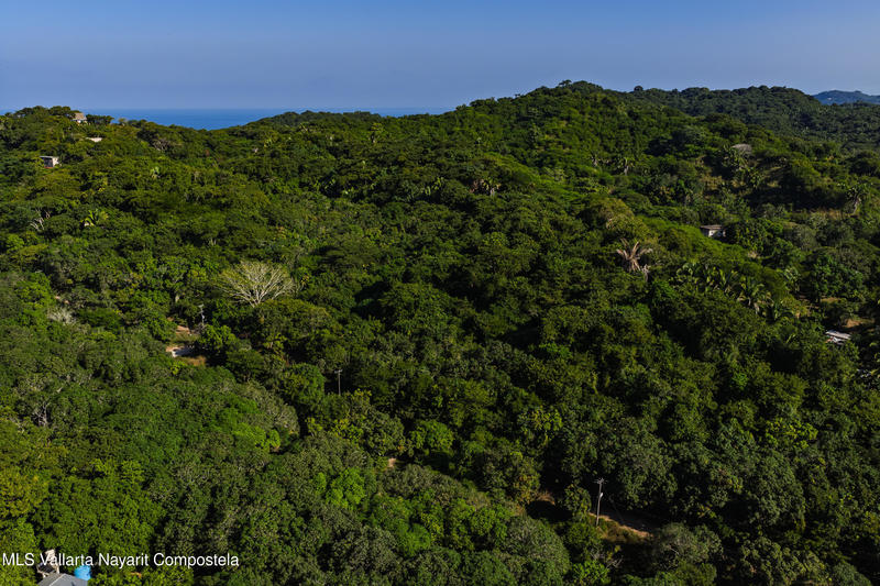 20251219171834343806000000 o