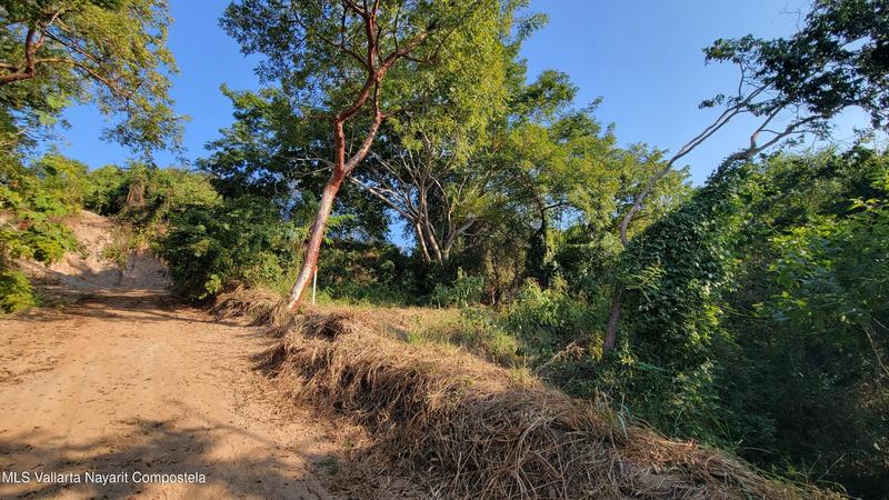 20260128000239069671000000 o