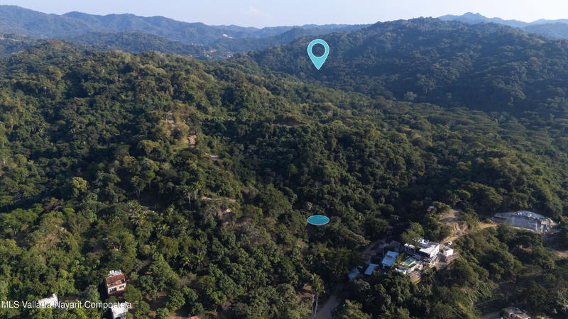 20260128000338039663000000 o