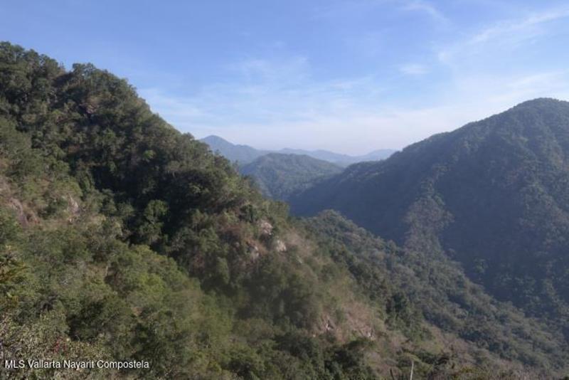 20260128191538690779000000 o