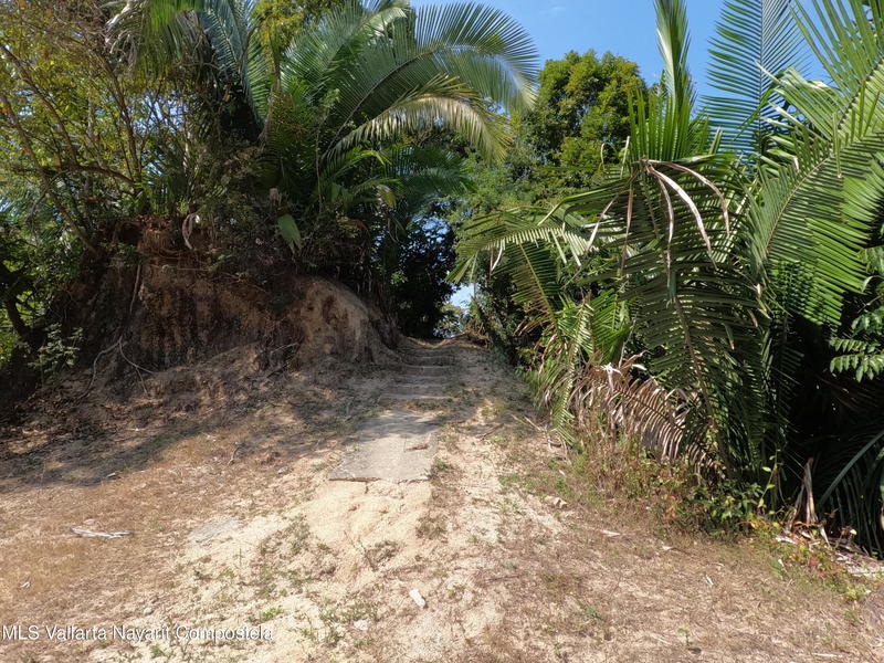 20260203202159102091000000 o