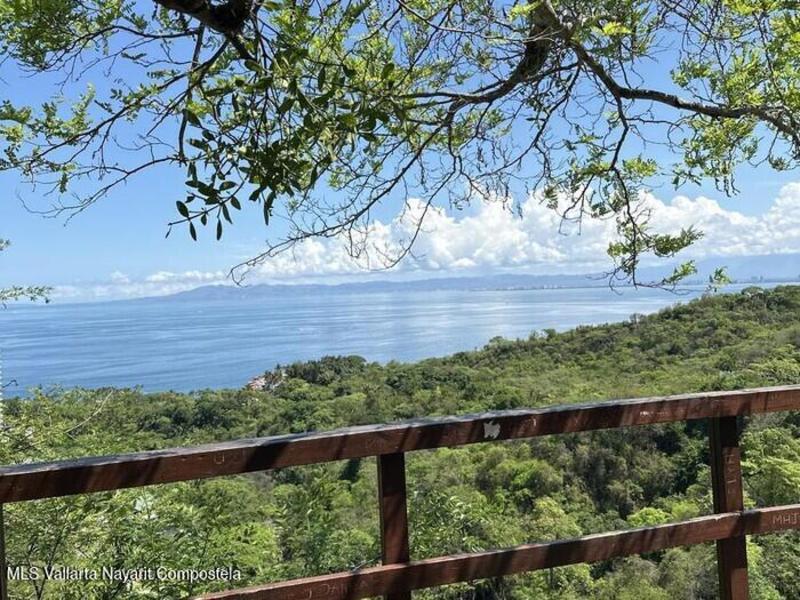 20260203202215439661000000 o