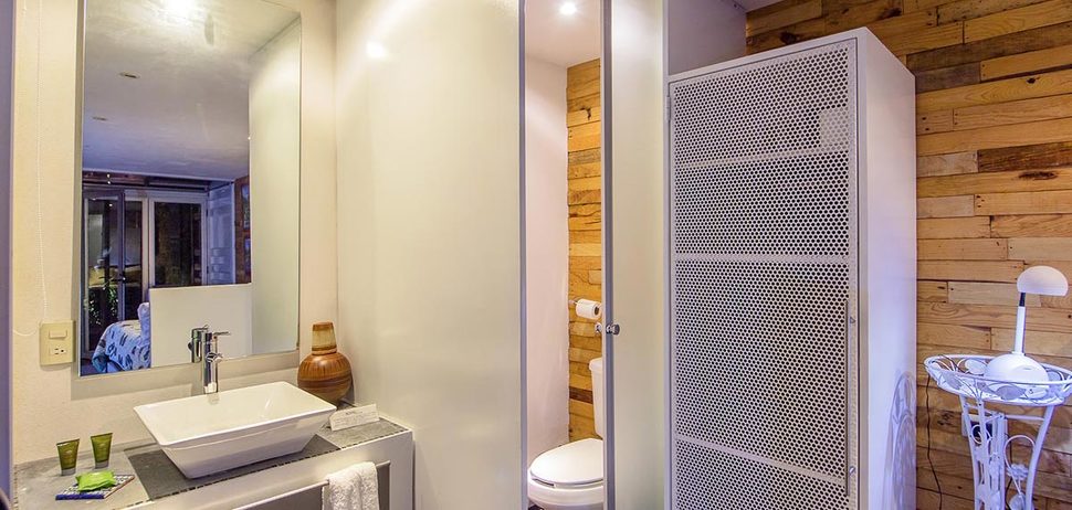 Puerto vallarta nemi eco 16