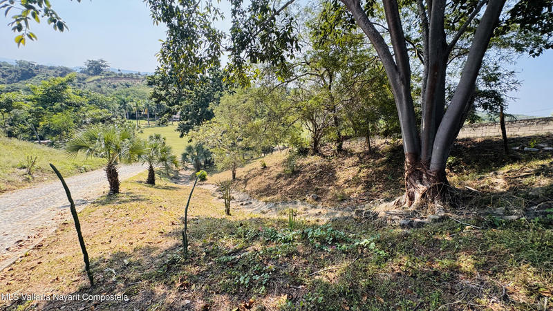 20251203000924379400000000 o