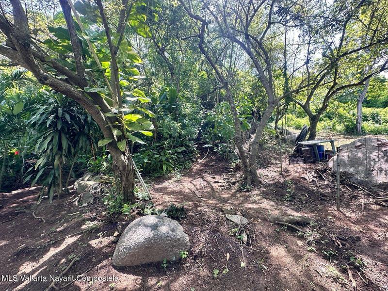 20250905154136732851000000 o