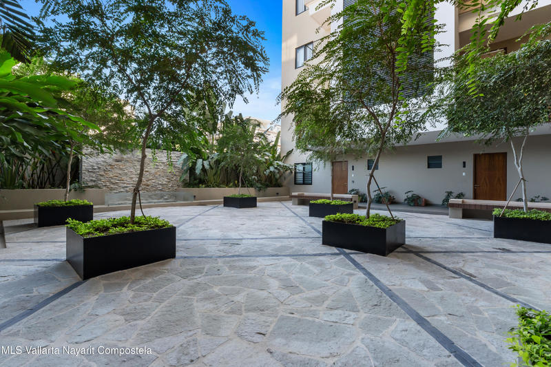 20260219191919376177000000 o