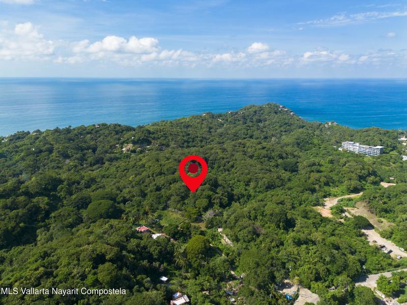 20251103195053784571000000 o