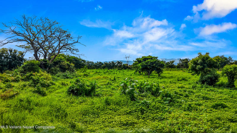 20250926022040398567000000 o